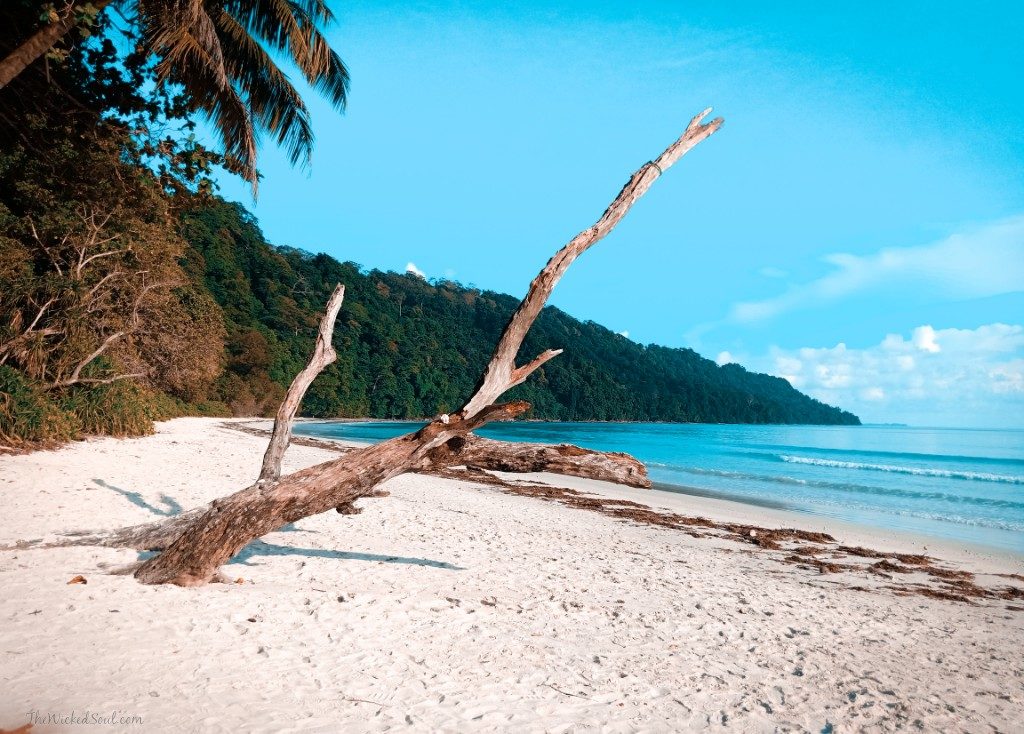 Havelock Island Best beaches in Andaman