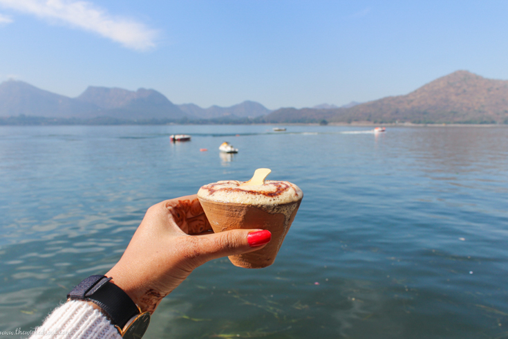 Top 20 Places to Eat in Udaipur: A complete Food Guide! – The Wicked Soul